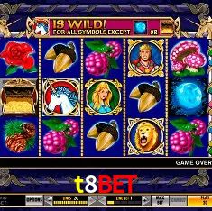 Descubra o Mundo do Cassino Online com t8bet