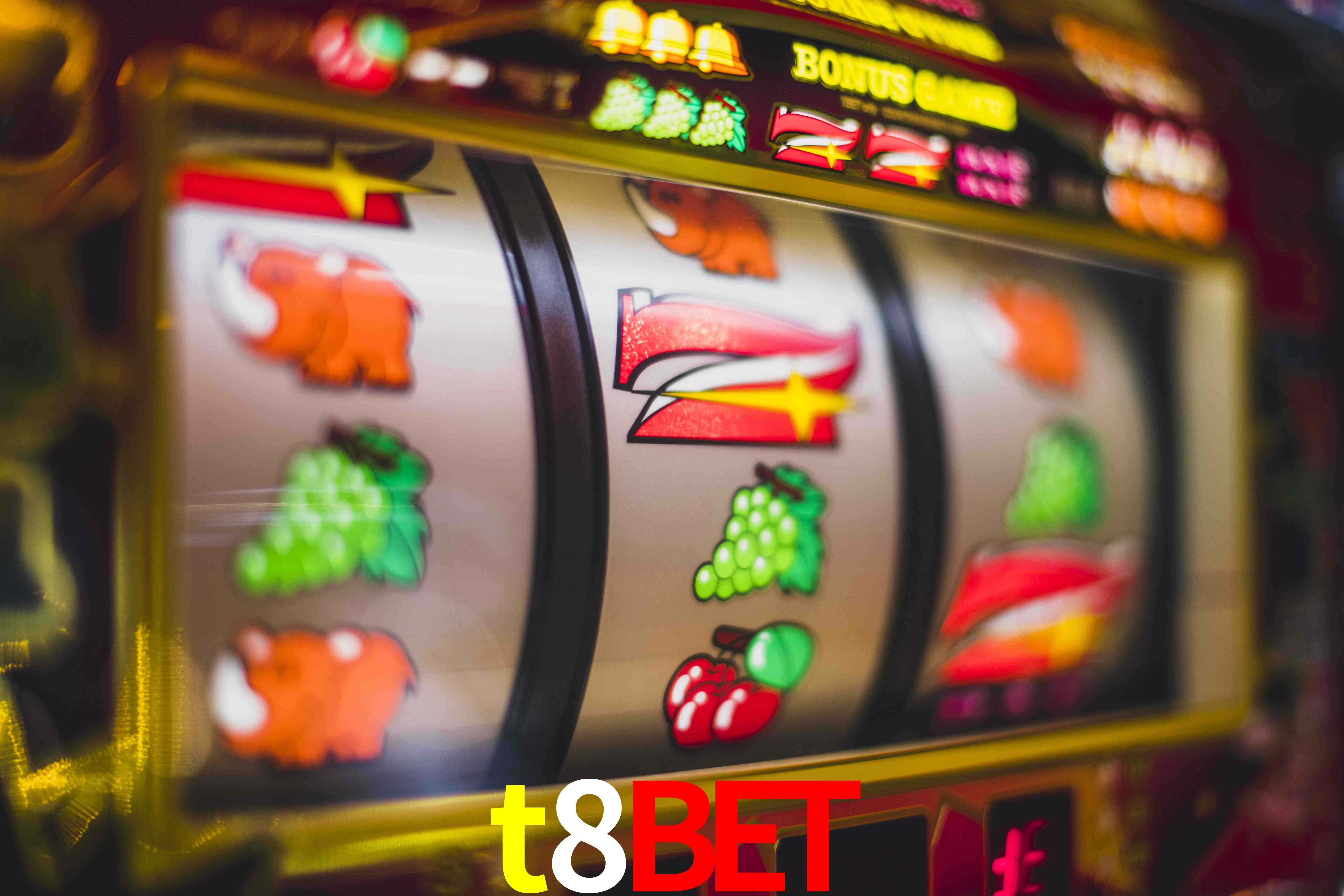 Football Betting t8bet